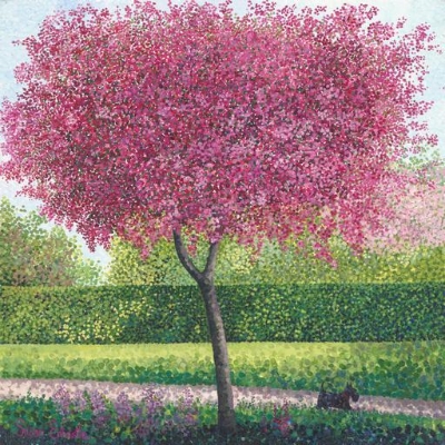 Crab Apple Blossom Card