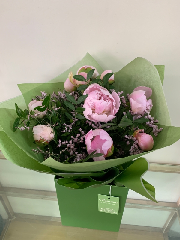 Dreamy Peony