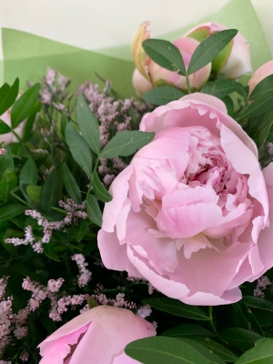 Dreamy Peony