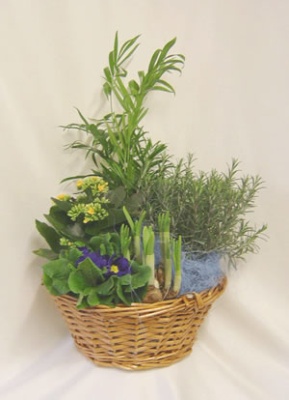 Seasonal Planted Basket