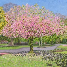 Blossom In The Park Card