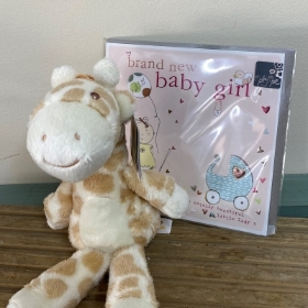 Baby Girl Bundle